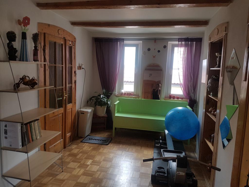Apartman Pod Svatou Horou Pribram Bagian luar foto